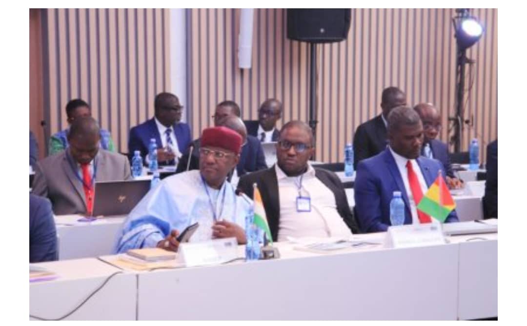 Atelier Reseau Francophone des Régulateurs de l'Energie 05